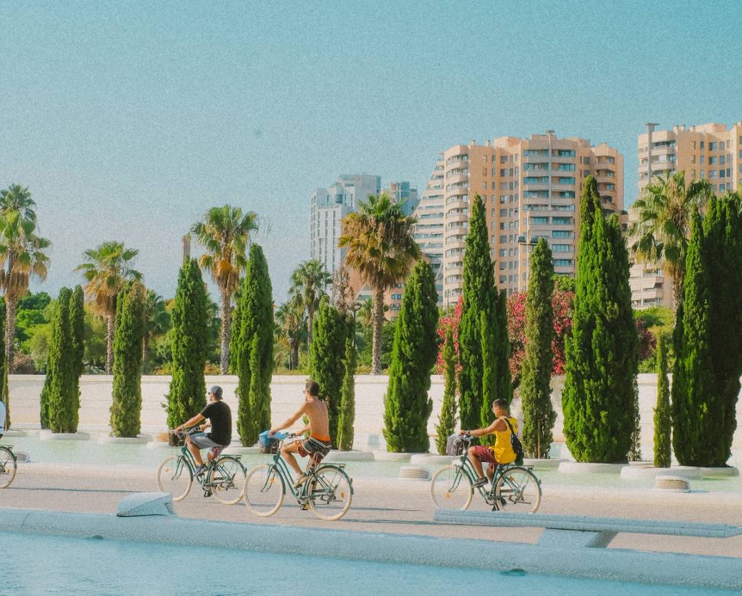 Cyclists ride along a scenic waterfront promenade in Valencia, framed by tall cypress trees and palm trees, with modern apartment buildings rising in the background under a clear blue sky.