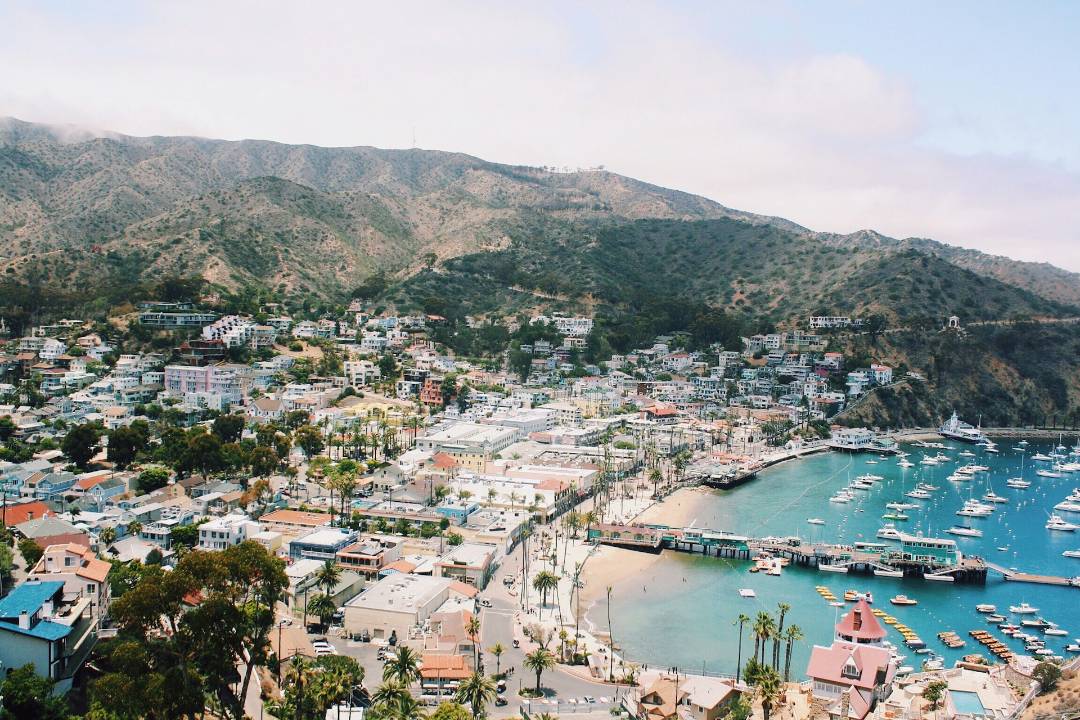 Puerto de Avalon en Santa Catalina Island con barcos y casas en la ladera.