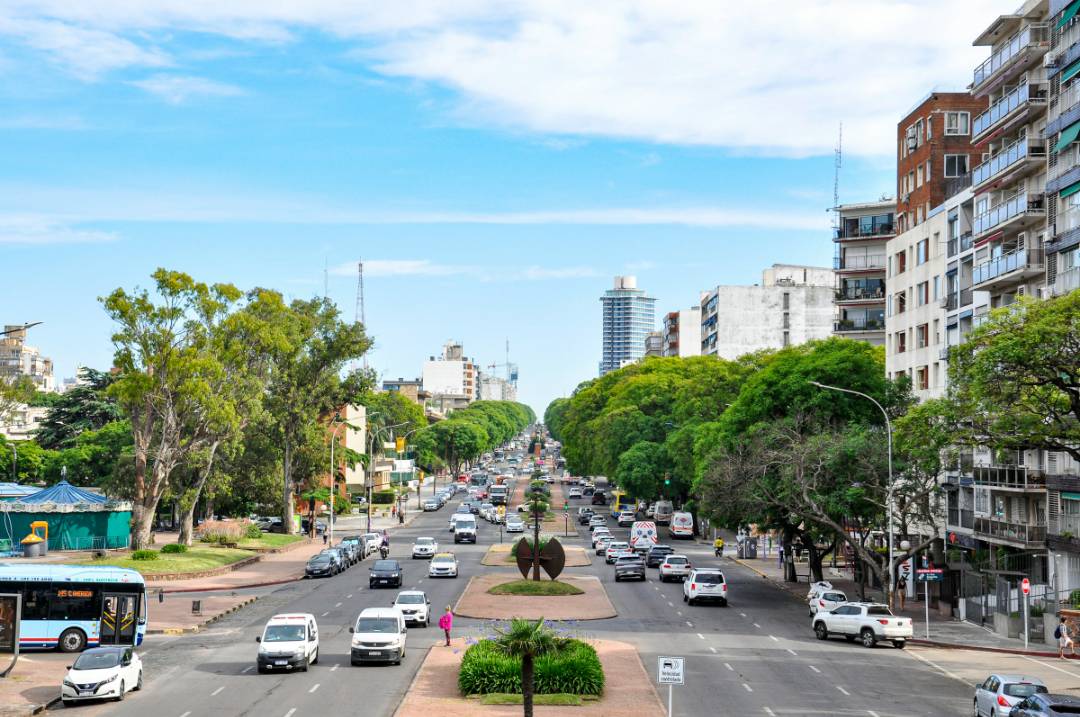 Calle urbana con árboles, edificios residenciales y un parque con carrusel bajo un cielo azul despejado.