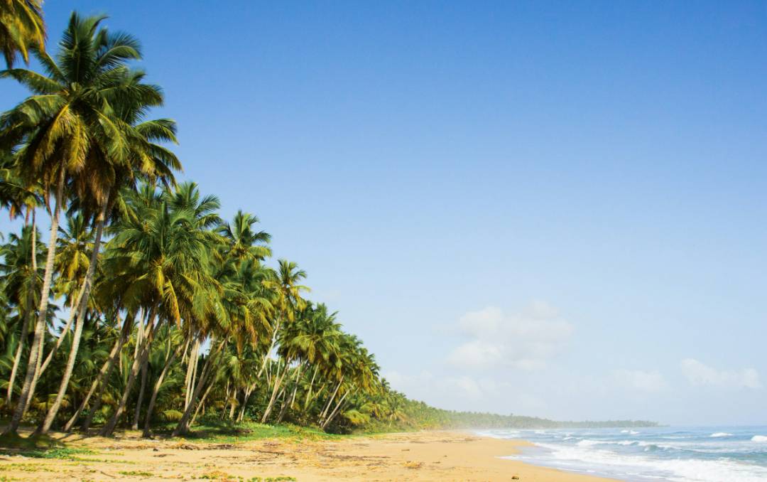 Vale a Pena Visitar Punta Cana? Um Guia Sobre o Que a Cidade Tem a Oferecer